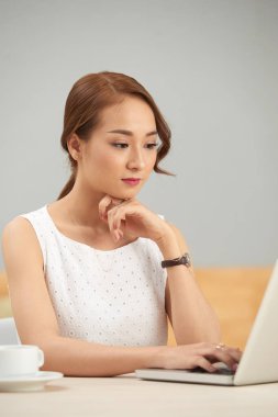 Güzel genç iş kadını dizüstü bilgisayar tarama