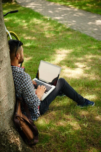 Baksidan Skäggig Ung Frilansare Lutar Träd Medan Använder Laptop — Stockfoto