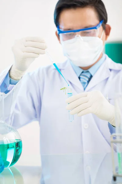 Microbiologist Wearing White Coat Safety Goggles Carrying Out Experiment Genetically — Stock Photo, Image