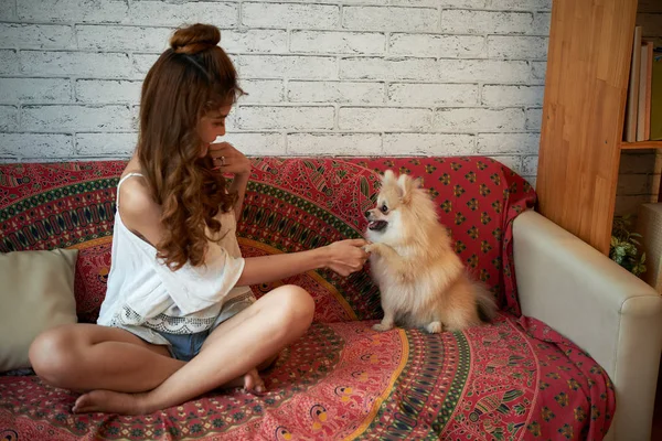 Jong Meisje Met Hond Sofa Thuis Spelen — Stockfoto