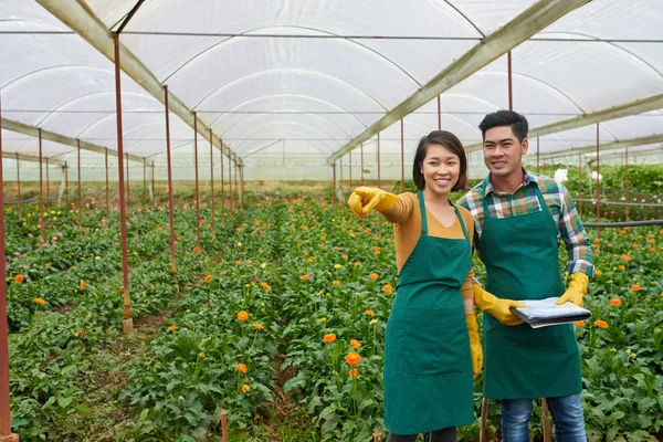 Joven Pareja Vietnamita Trabajando Invernadero Flores — Foto de Stock