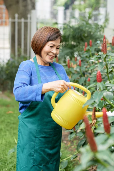 Sorrindo Jardineiro Feminino Maduro Trabalhando Seu Jardim Ela Regando Flores — Fotografia de Stock