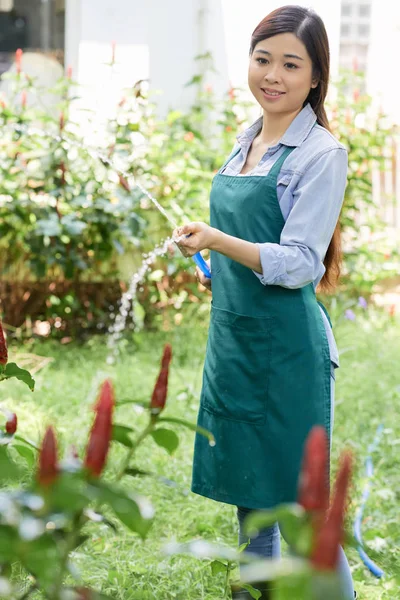 Ung Asiatisk Kvinna Stående Förkläde Innehav Vattenslang Och Vattna Växter — Stockfoto