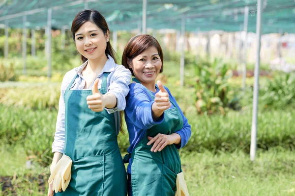 Porträtt Två Asiatiska Bönder Förkläden Står Tillsammans Och Visar Tummen — Stockfoto