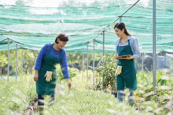 エプロンを調べるで 人の女性農民に成長する植物の温室で何かを議論し — ストック写真