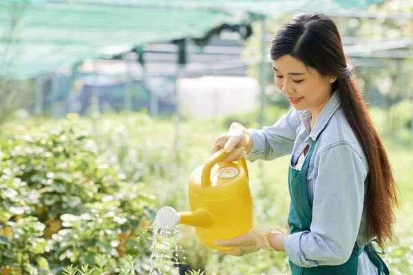 Giovane Contadina Che Lavora Giardino Annaffia Piante Con Annaffiatoio Sorride — Foto Stock