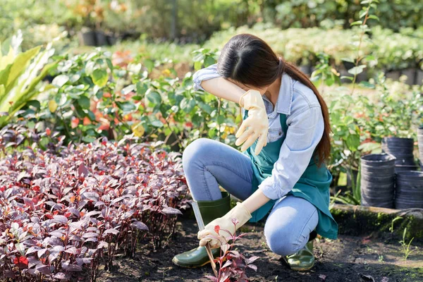 Giovane Giardiniera Che Pulisce Fronte Con Mano Stanca Lavorare Giardino — Foto Stock