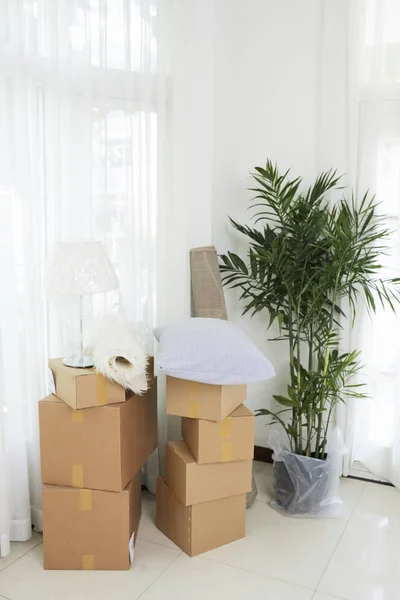 Stack of carton boxes with stuff and flowerpot in empty white room of new house