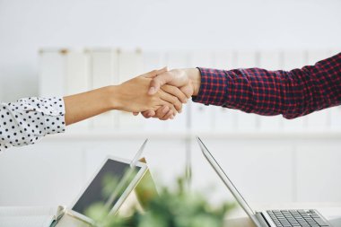 İşadamı ve başarılı toplantıdan sonra tokalaşırken işkadını