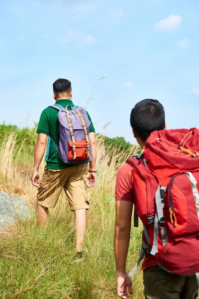 Männliche Freunde Mit Rucksäcken Auf Wanderabenteuer Blick Von Hinten — Stockfoto