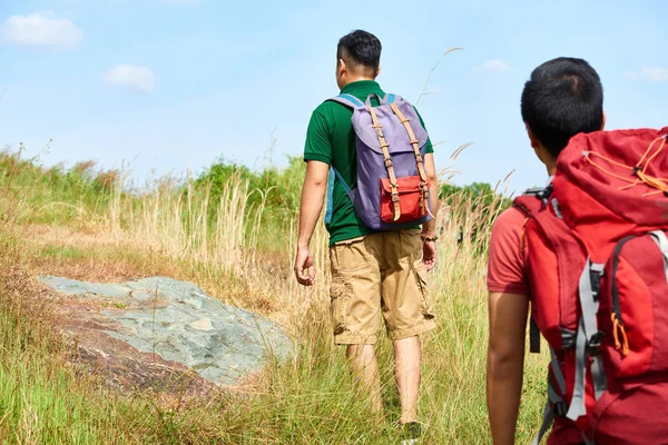 Randonneurs Avec Sacs Dos Marchant Sur Montagne Vue Dos — Photo