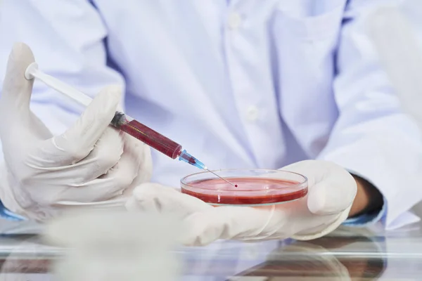 Laboratório Enchimento Placa Petri Com Reagente Vermelho — Fotografia de Stock