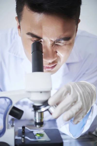 Professionele Scheikundige Dragen Van Handschoenen Bij Het Zoeken Microscoop — Stockfoto