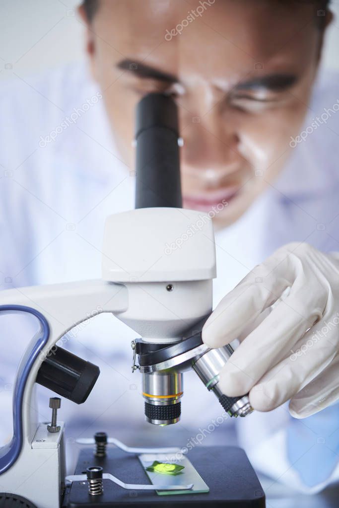 Scientist looking at green leaf through microscope in his laboratory