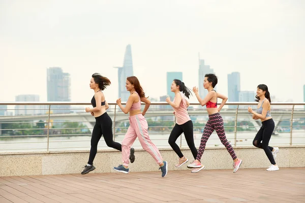 一群健康的少数民族妇女一起训练 在铺好的海滨上跑步 反对城市景观 — 图库照片