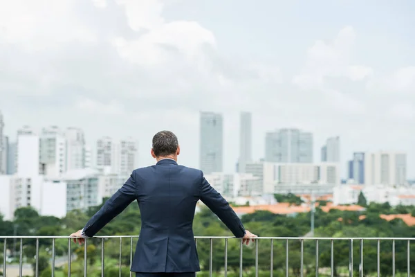 Üzletember Suit Állt Tetőn Nézte Városra Park Nyári Zöld Fák — Stock Fotó