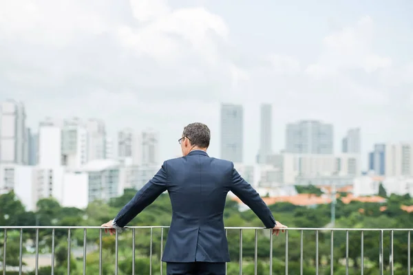 Üzletember Suit Állt Tetőn Nézte Városra Park Nyári Zöld Fák — Stock Fotó