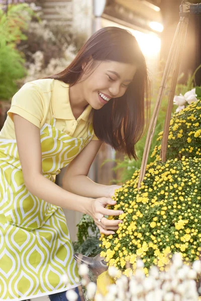 Szczęśliwa Młoda Kobieta Wietnamski Korzystających Pracy Jej Sklepie Kwiat — Zdjęcie stockowe