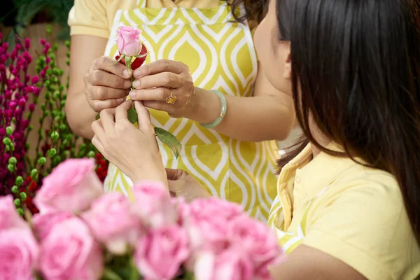 Rosa Decoración Para Principiantes Taller Floristería Profesional — Foto de Stock