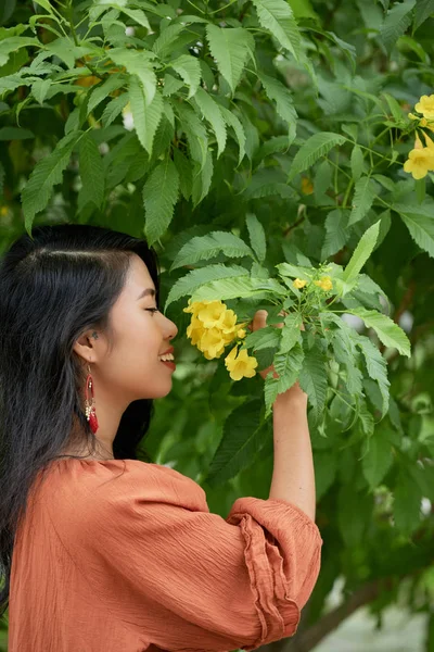 Mujer Vietnamita Bastante Joven Oliendo Flor Amarilla Brillante —  Fotos de Stock