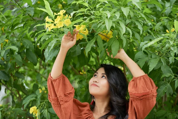 Smiling Attractive Young Woman Standing Blooming Tree — Stock Photo, Image