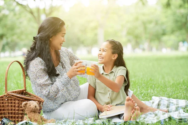 Vietnamese Mother Daughter Enjoying Picnic Summer Park — Stock Photo, Image