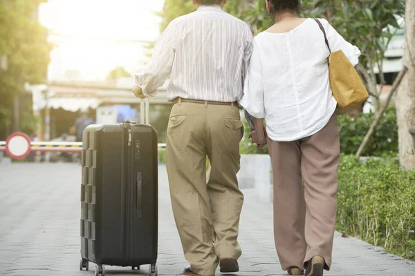 Rear View Senior Couple Big Suitcase Walking Street — Stock Photo, Image