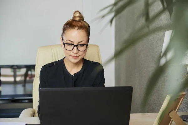 성공적인 사업가 노트북 그녀의 사무실 테이블 — 스톡 사진