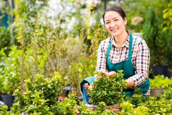 Alegre Bonita Mujer Asiática Plantando Flores Jardín — Foto de Stock