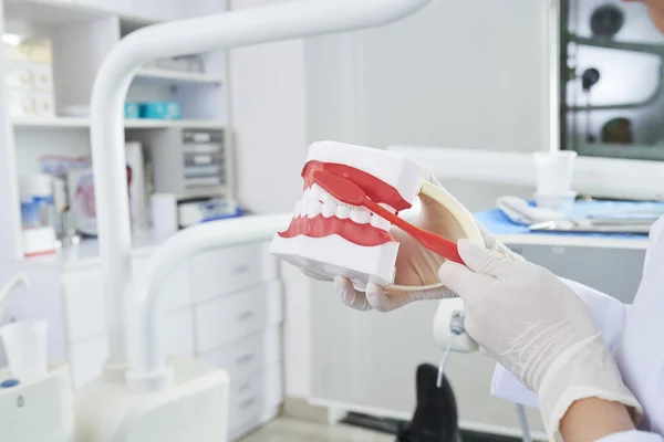 Primo Piano Del Dentista Che Tiene Modello Plastica Dei Denti — Foto Stock