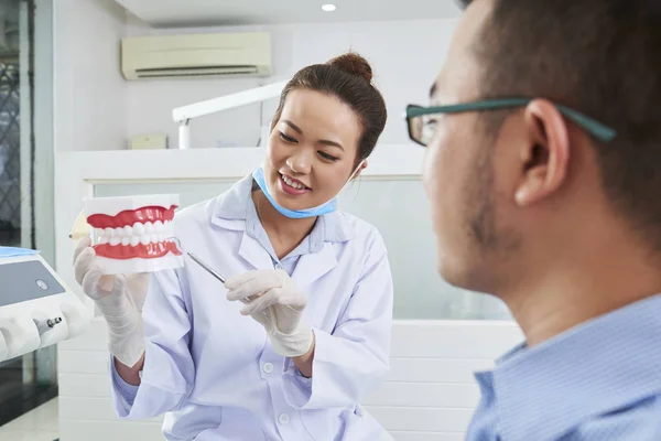 Молодая Женщина Стоматолог Держит Пластиковую Модель Зубов Объясняет Пациентке Ухаживать — стоковое фото
