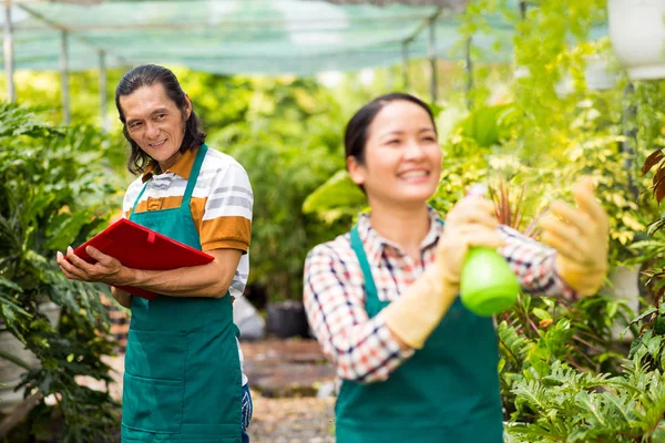快乐的亚洲园丁享受在橘子工作 — 图库照片