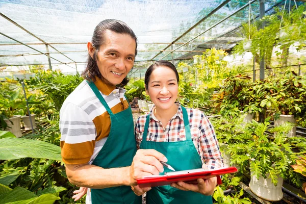 Propietarios Naranjería Flores Delantales Trabajando Con Documentos — Foto de Stock