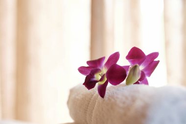Spa otelde taze havlu yığını üzerinde çiçekor kiyavesi çiçekleri