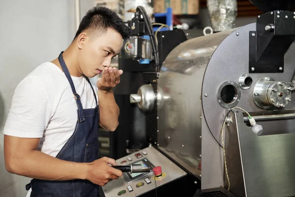 Asian young man standing and smelling coffee beans in his hand while standing near the special equipment during his work on coffee factory