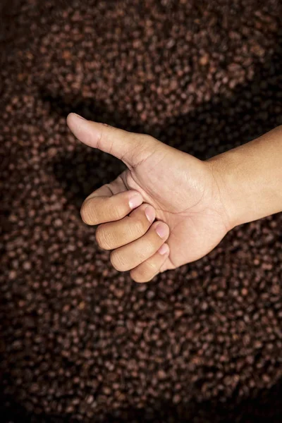 Close Mandlige Hånd Viser Tommelfinger Kaffebønner Baggrund - Stock-foto