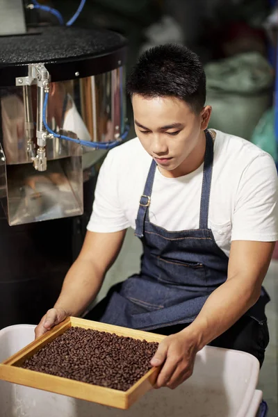 Asiático Jovem Trabalhador Avental Sentado Frente Recipiente Filtrando Grãos Café — Fotografia de Stock