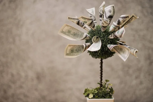 Immagine Albero Verde Artificiale Vaso Decorativo Con Valute Dollaro Fatto — Foto Stock