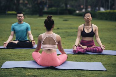 Genç kadın yoga eğitmeni insan grubu ile parkta egzersiz Arka görüş