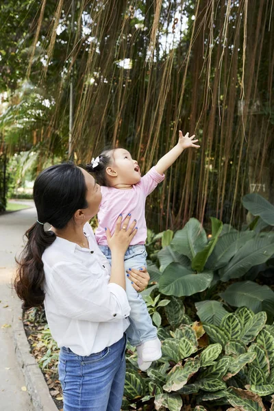 母亲背着小女儿第一次看竹灌丛 — 图库照片