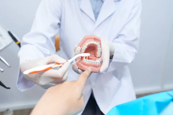 Dentysta Przy Użyciu Modelu Szczęki Gdy Pokazano Jak Szczotkować Zęby — Zdjęcie stockowe
