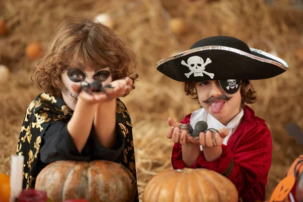 Dos Chicos Divertidos Mostrando Arañas Plástico Para Decoración Halloween — Foto de Stock