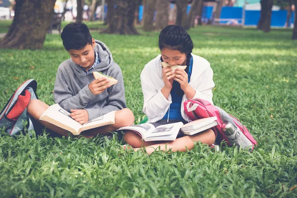 Vietnamese Schoolkinderen Zitten Gras Lezen Van Boeken — Stockfoto