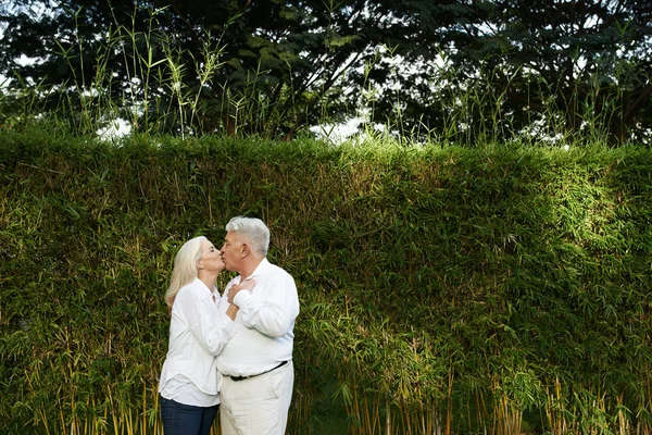 Couple Aîné Embrasser Contre Mur Bambou Dans Jardin Été — Photo