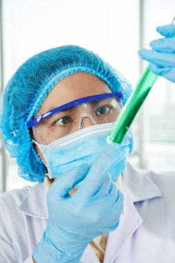 Test tüpünde parlak yeşil sıvıya bakan bilim adamı