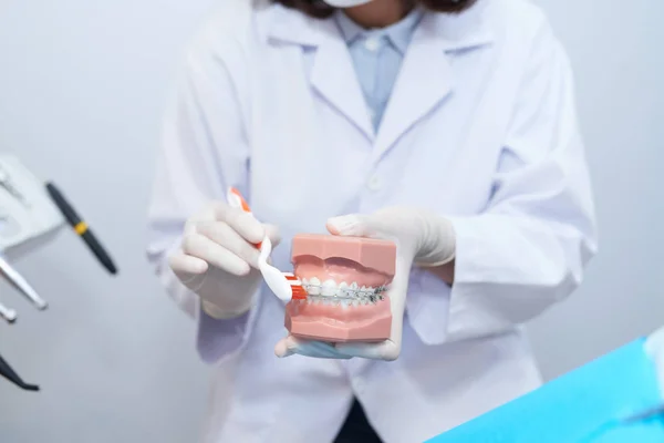 Close Image Dentist Using Model Plastic Teeth Braces Showing How — Stock Photo, Image