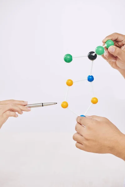 Mãos Colheita Dos Cientistas Que Prendem Modelo Molecular Colorido Têm — Fotografia de Stock