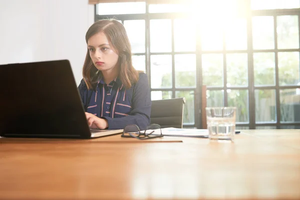 Młoda Businesswoman Skoncentrowała Się Pracy Laptopie Jej Stole Biurowym — Zdjęcie stockowe