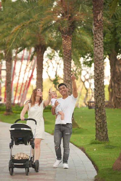 Excited Young Couple Little Baby Looking Something Interesting Sky — Stock Photo, Image