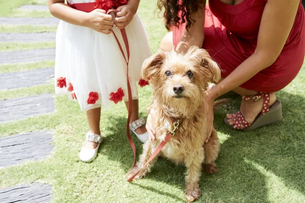 Zbliżenie Cute Little Dog Właścicieli Matka Córką Siedząc Zielonej Trawie — Zdjęcie stockowe